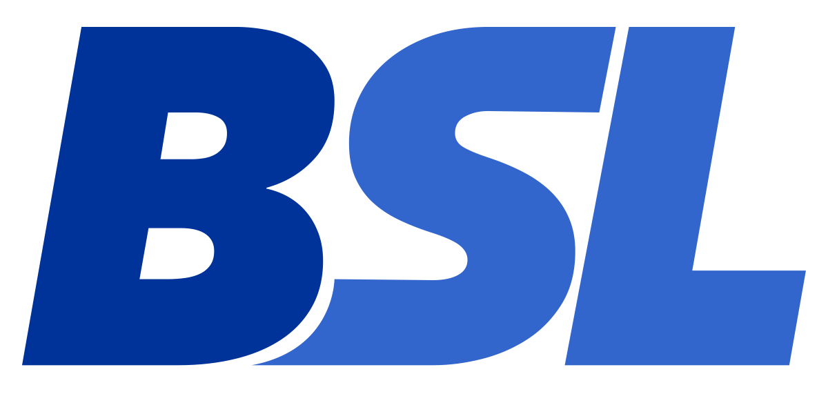Bullskin Stone & Lime logo